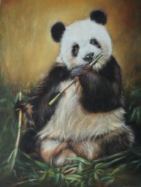 Panda,40x30cm